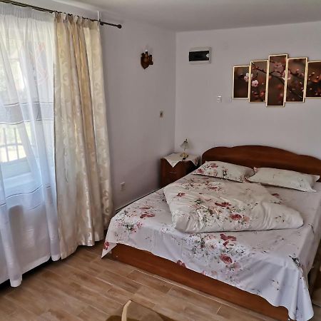 布朗 Casa Georgeta旅馆 外观 照片