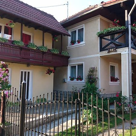 布朗 Casa Georgeta旅馆 外观 照片