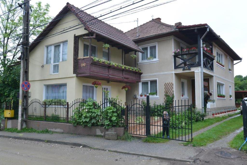 布朗 Casa Georgeta旅馆 外观 照片