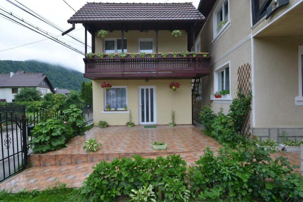 布朗 Casa Georgeta旅馆 外观 照片