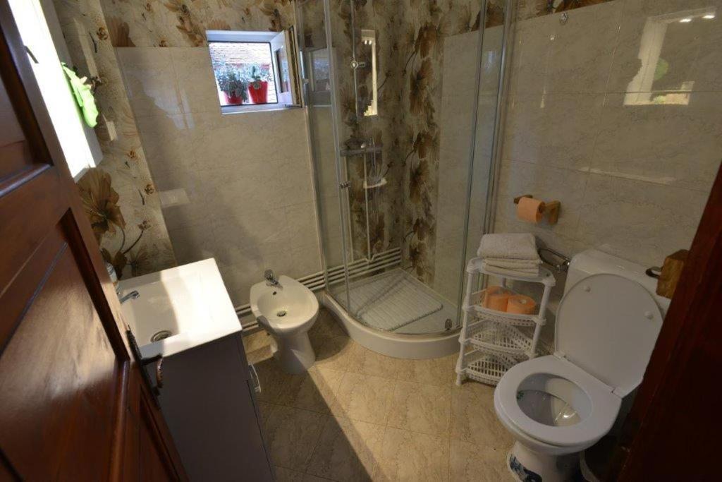 布朗 Casa Georgeta旅馆 外观 照片
