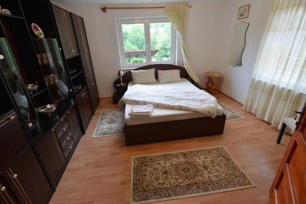 布朗 Casa Georgeta旅馆 外观 照片