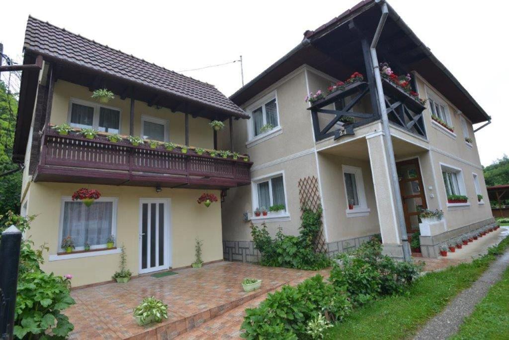 布朗 Casa Georgeta旅馆 外观 照片