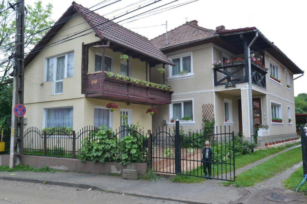 布朗 Casa Georgeta旅馆 外观 照片