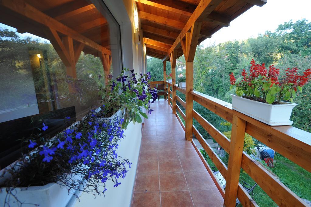 布朗 Casa Georgeta旅馆 外观 照片