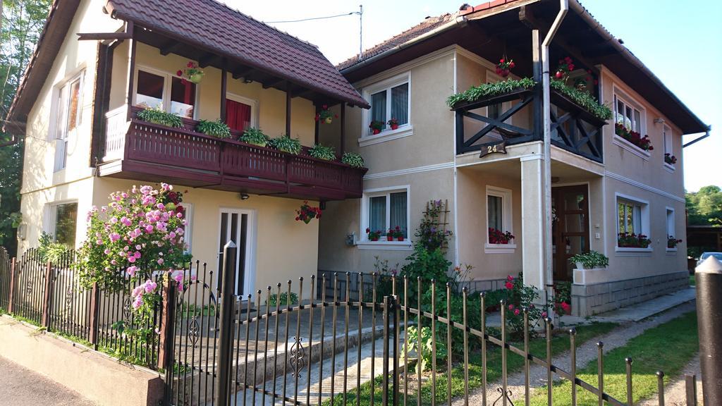 布朗 Casa Georgeta旅馆 外观 照片