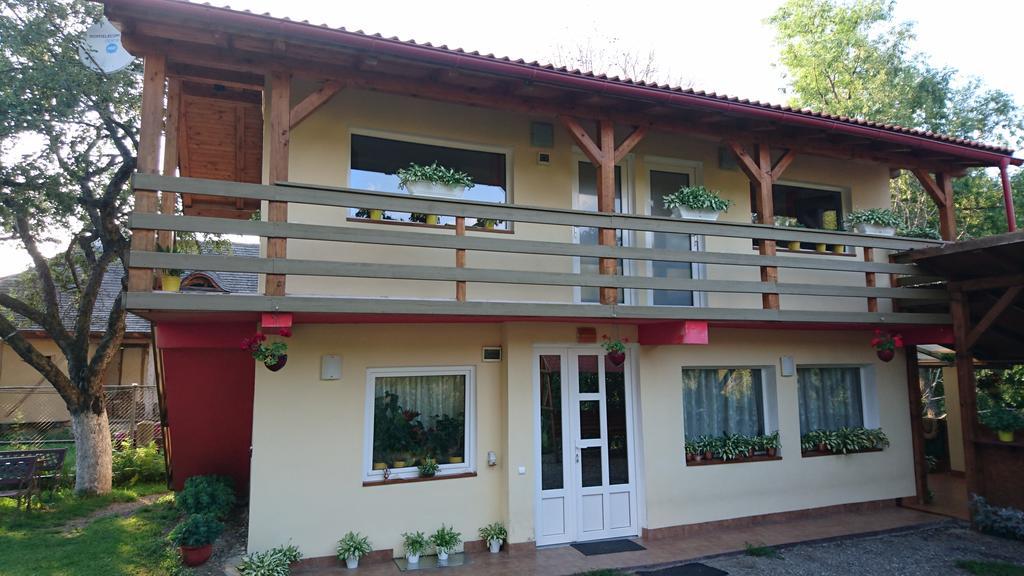 布朗 Casa Georgeta旅馆 外观 照片